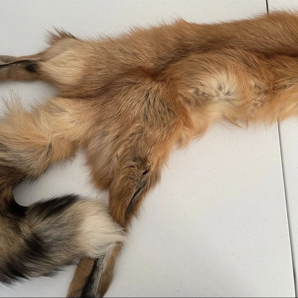 Real Red Fox Fur Pelt Hide Stole Scarf Log Cabin Decor Crafts Art Wall Hanging! - Picture 6 of 15